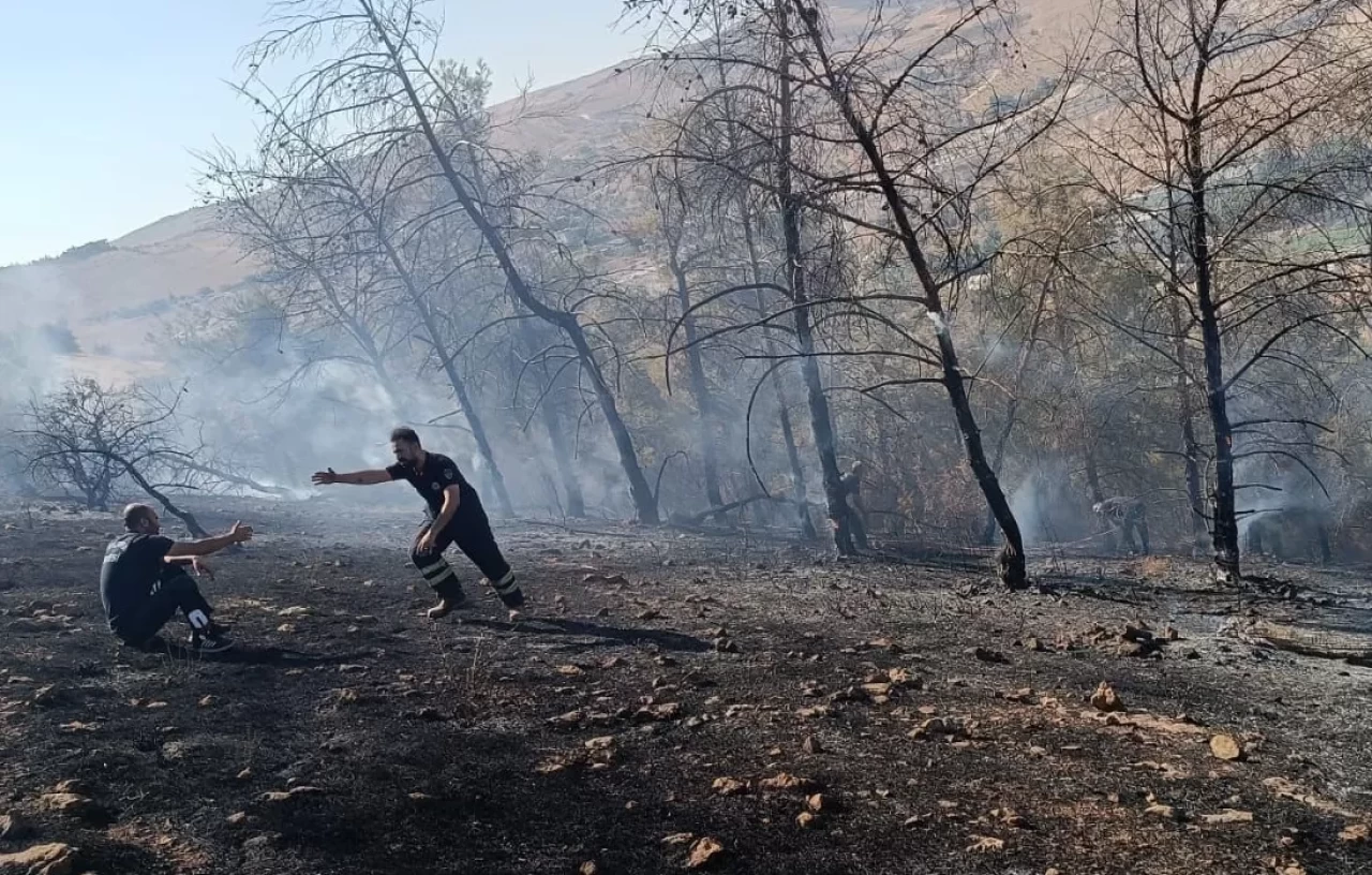 Şanlıurfa'da çıkan orman yangını söndürüldü