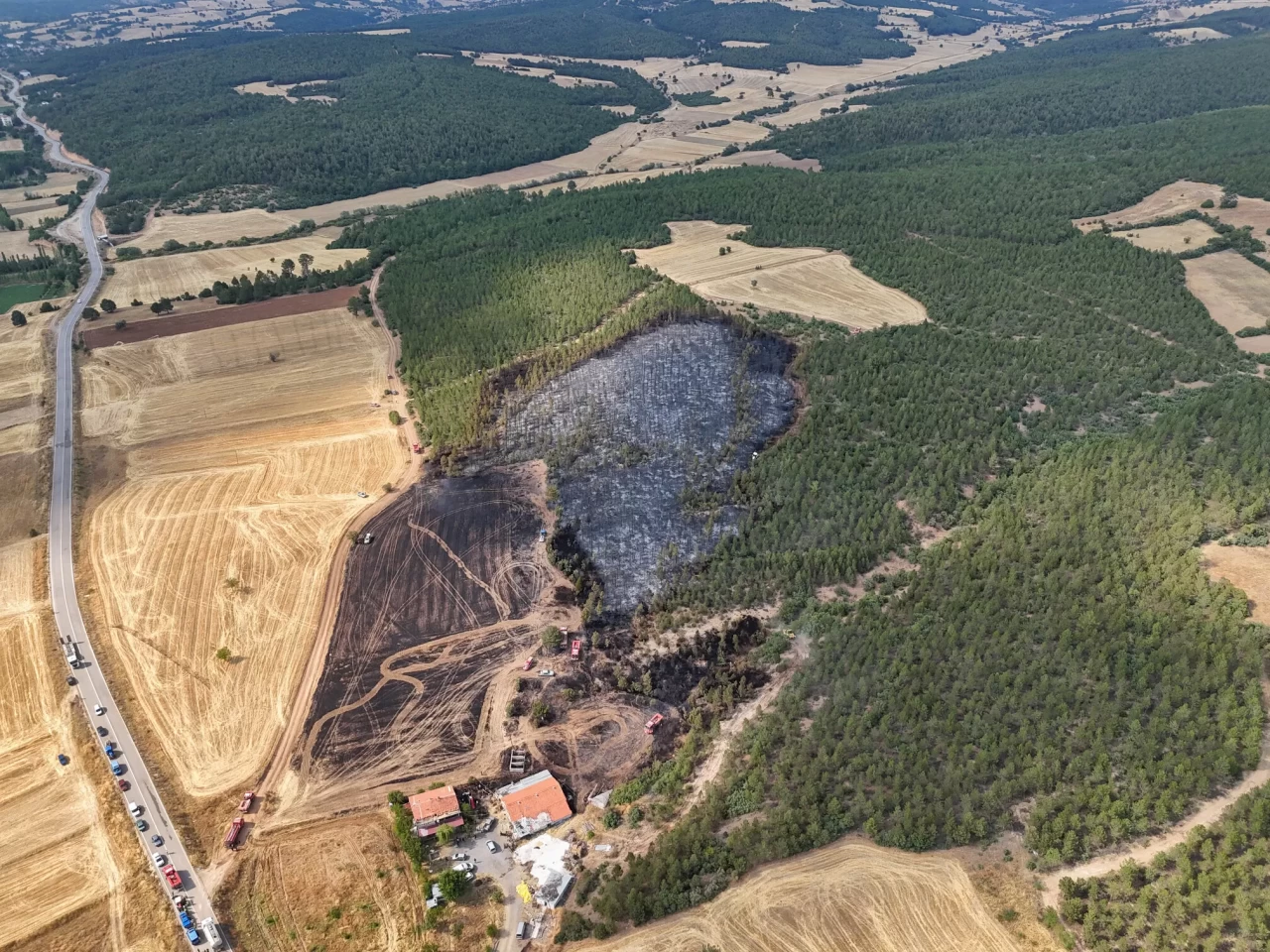 Uşak'ta ormana sıçrayan anız yangını söndürüldü