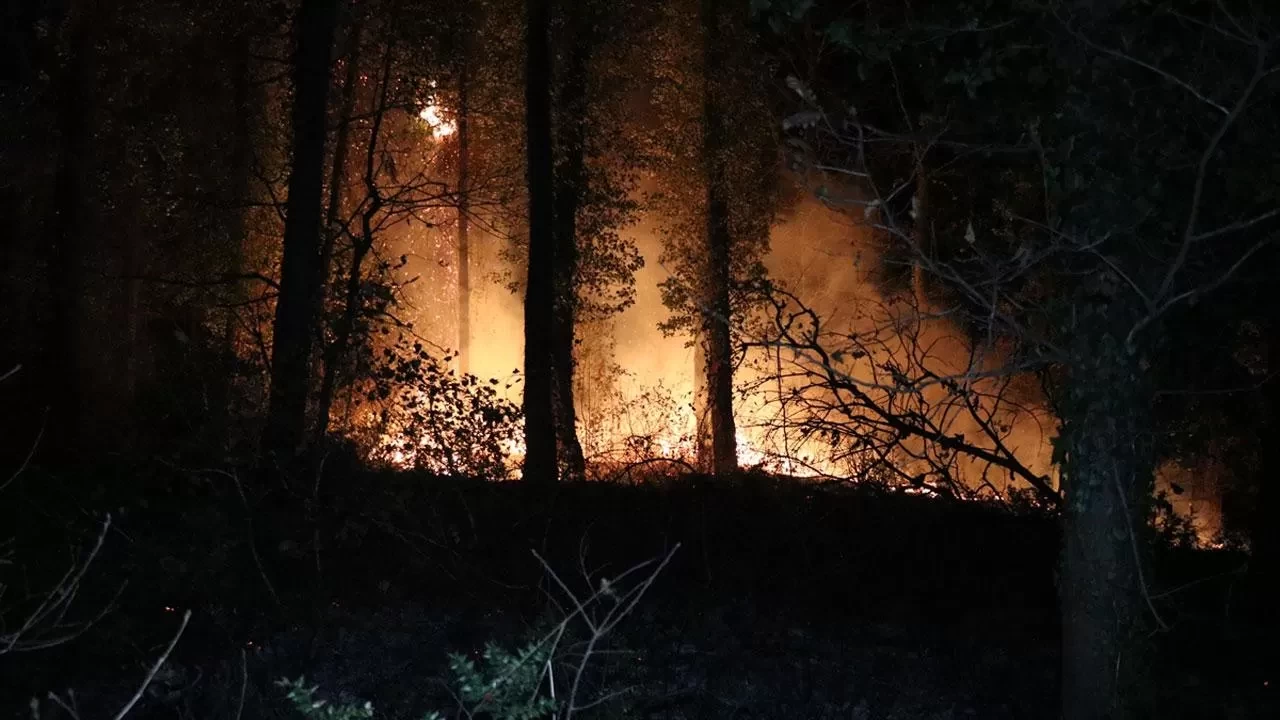 Fransa’daki orman yangınında Paris'ten daha büyük bir alan yok oldu
