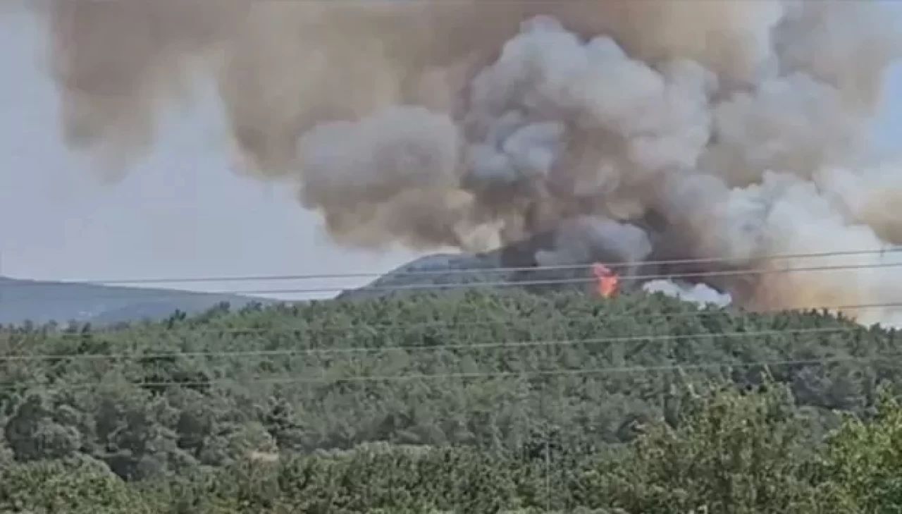 İzmir'de orman yangını