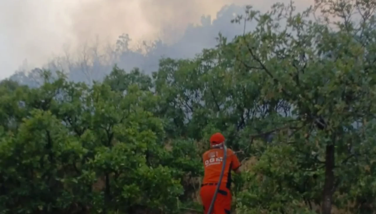 Bingöl'de çıkan orman yangını söndürüldü