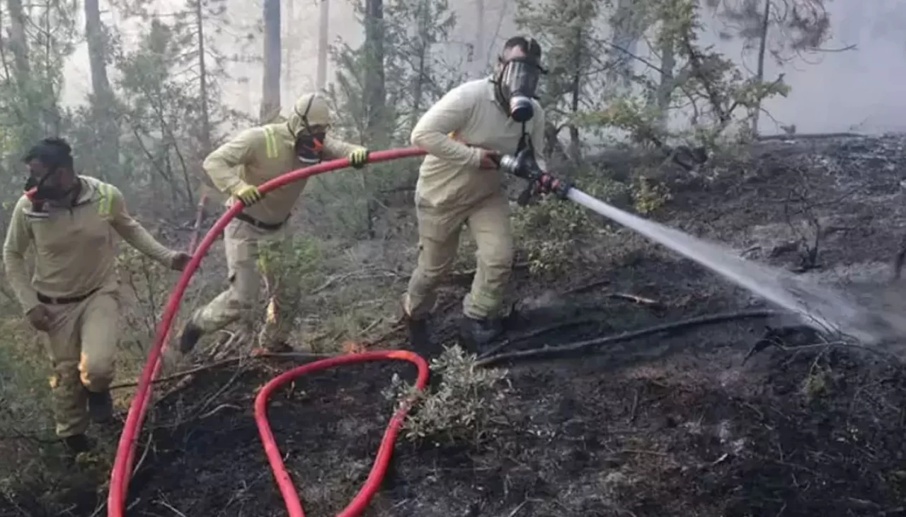 Bolu'daki orman yangınında bir tutuklama