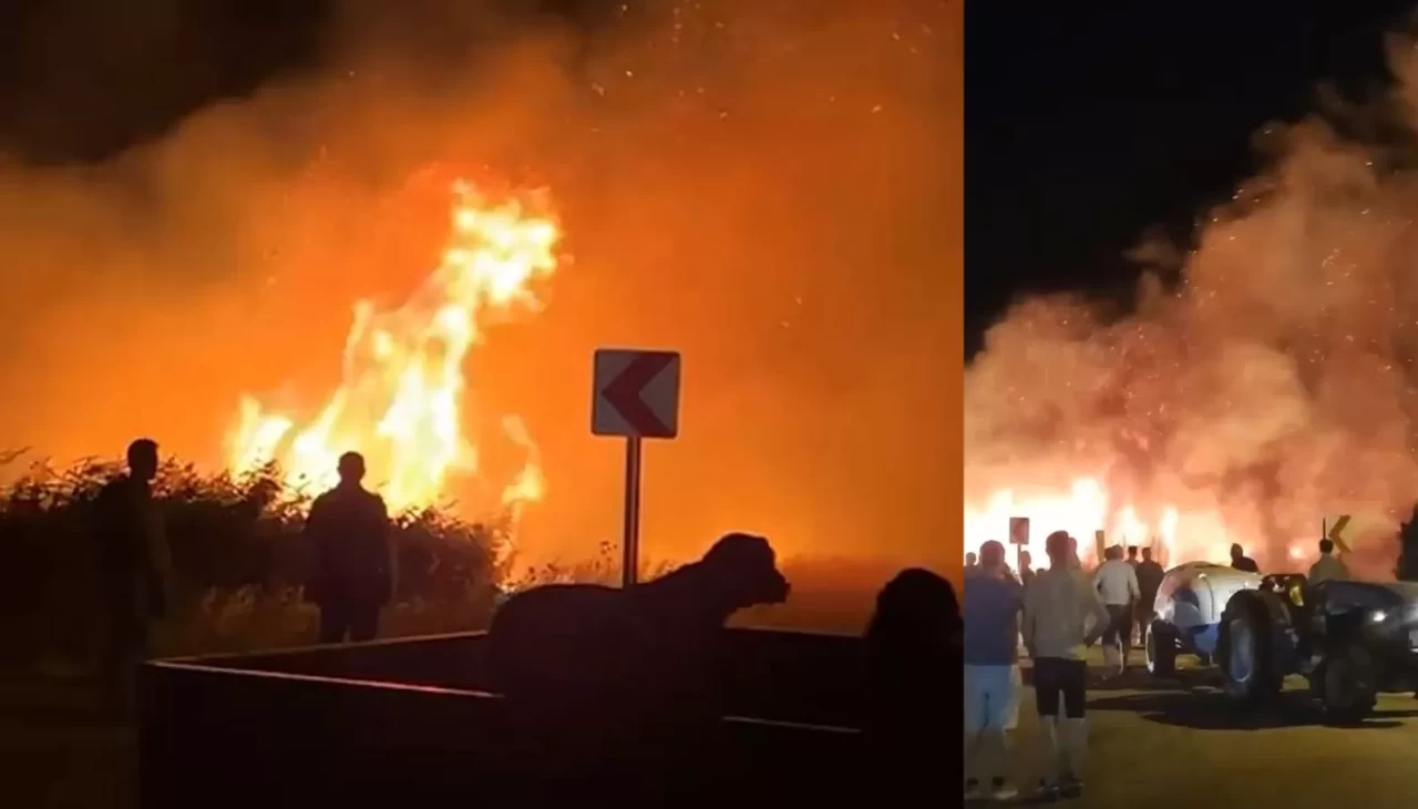 Bursa'da yangınların biri bitiyor biri başlıyor