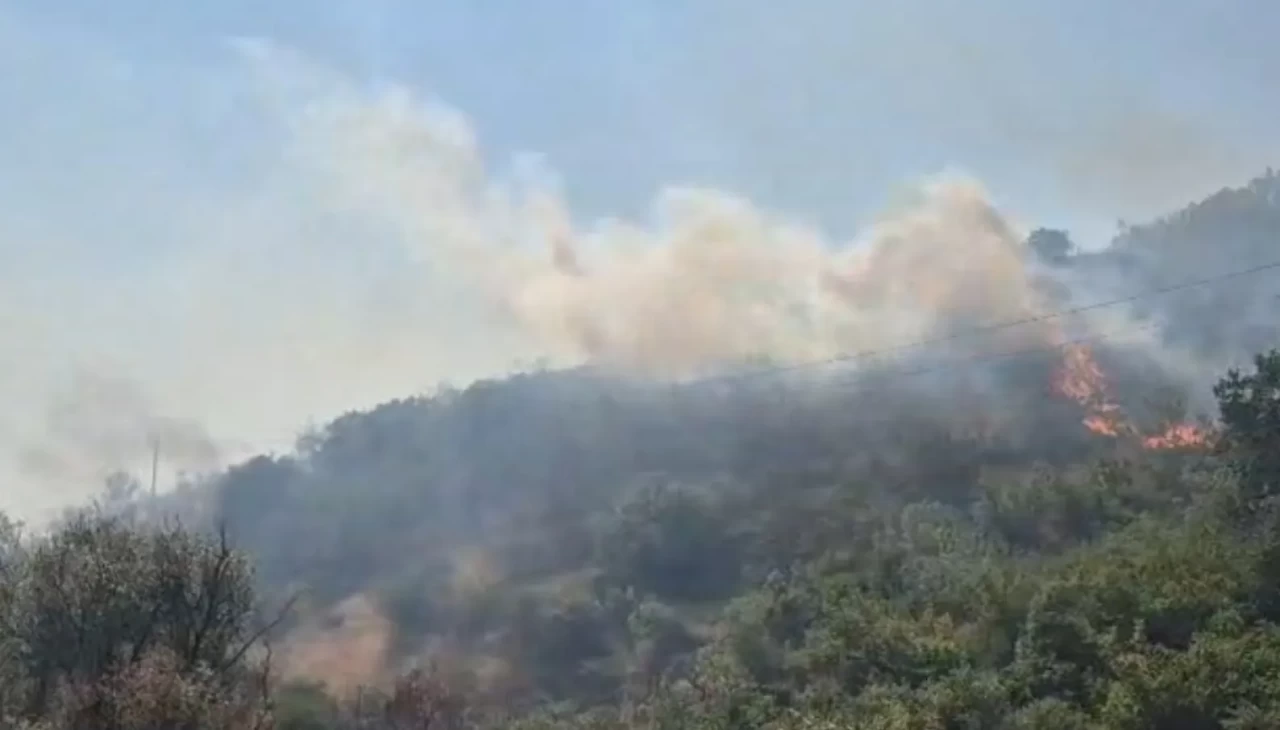Balıkesir’de otluk ve makilik alanda çıkan yangın kontrol altına alındı