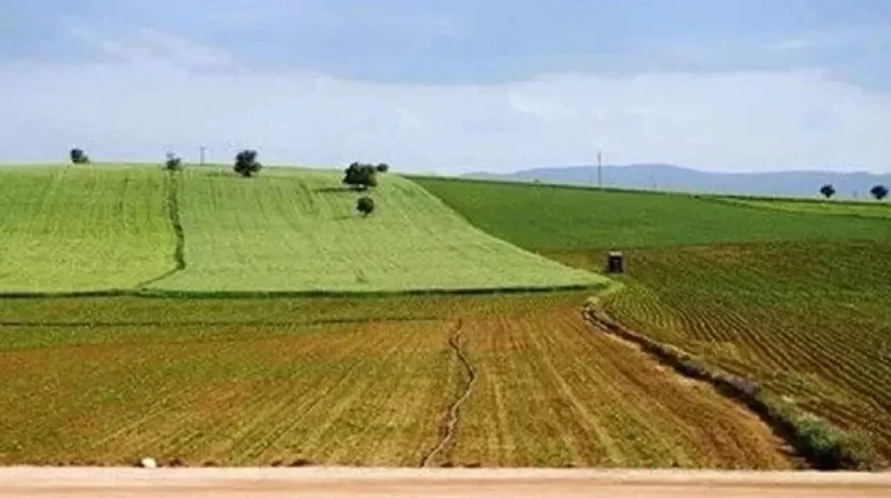 Eylülde başlıyor: Ekilmeyen tarla kiralanacak