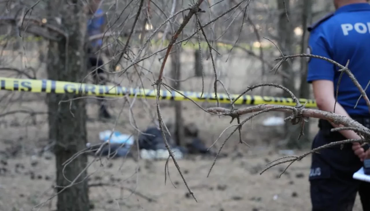 Erzurum'da ormanlık alanda erkek cesedi bulundu