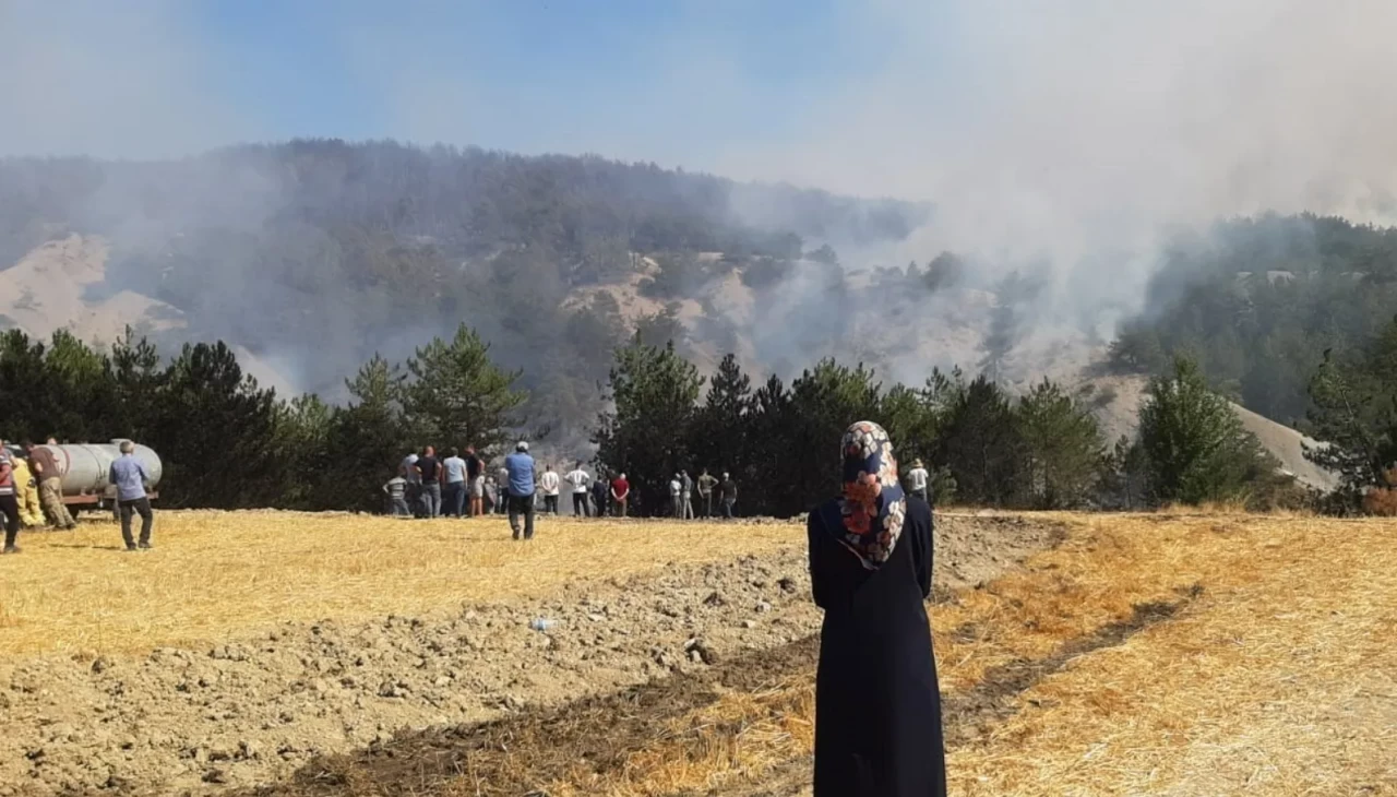 Bolu’daki orman yangınıyla ilgili 1 kişi tutuklandı