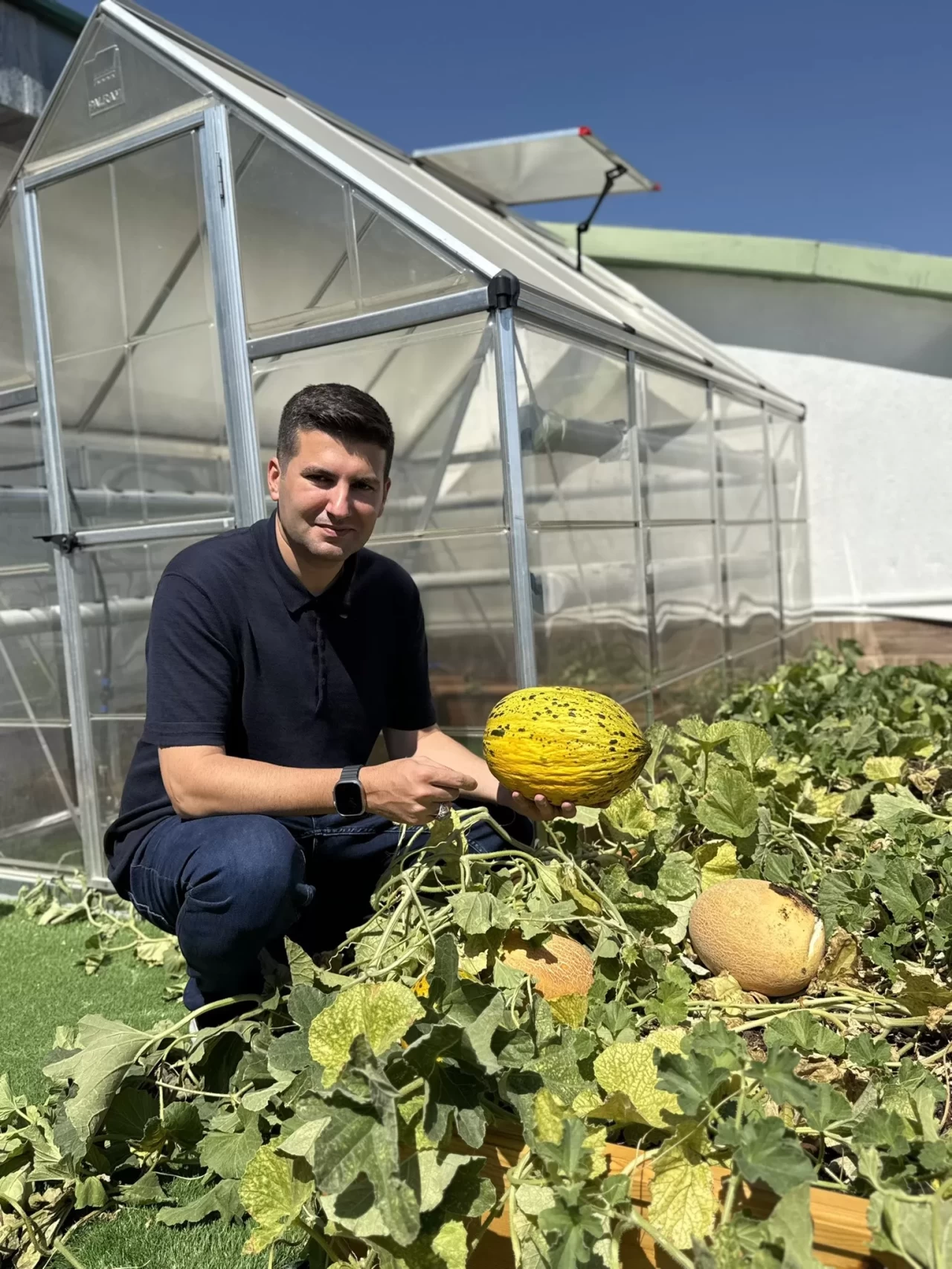 Ülkü Ocakları’ndan sürdürülebilir tarım atılımı: Başkan Yıldırım kavun hasadını gerçekleştirdi
