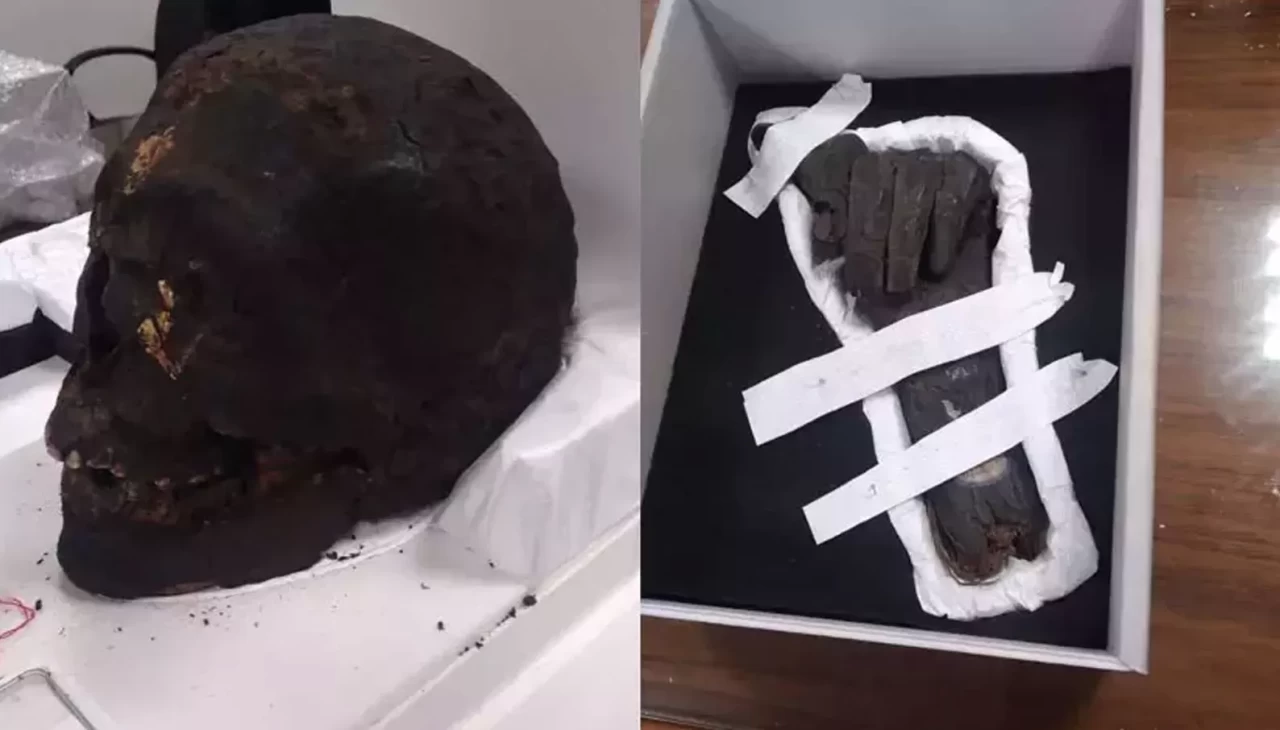 İçlerinde mumya kafatası ve eli de olan 13 tarihi eser Mısır’a iade edildi