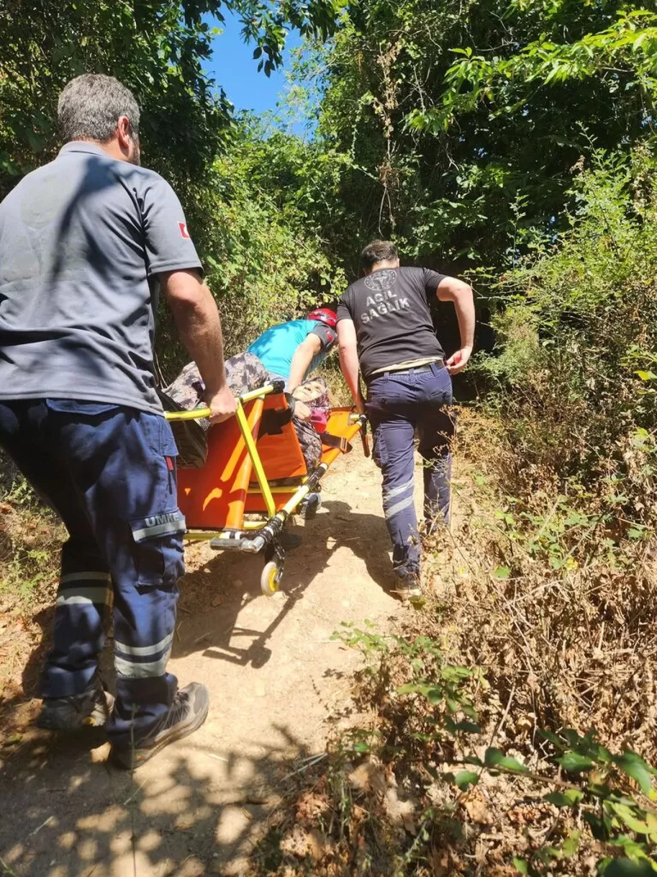 Yalova'da 75 yaşındaki kadın dağdan aşağı indirildi