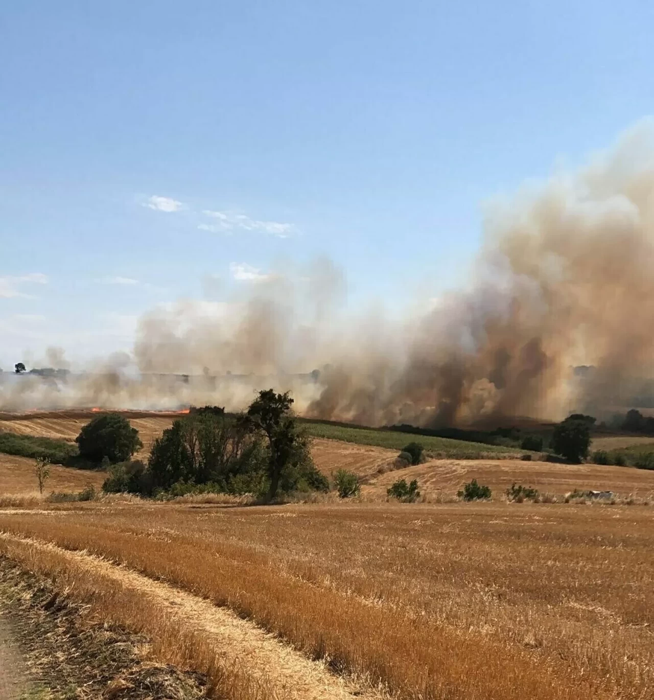 Çanakkale'de tarım arazisinde yangın! Alevlere havadan ve karadan müdahele ediliyor