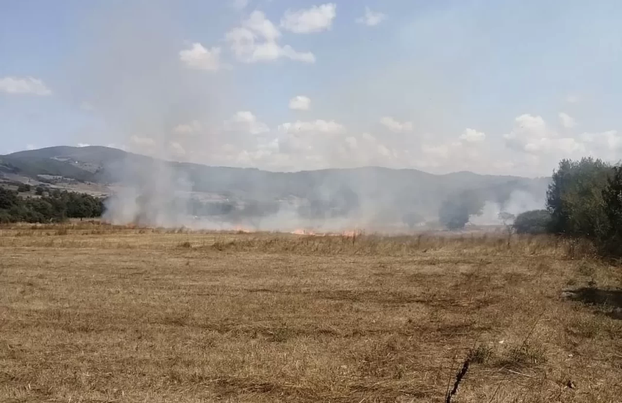 Samsun'da anız yangını ormana sıçramadan söndürüldü