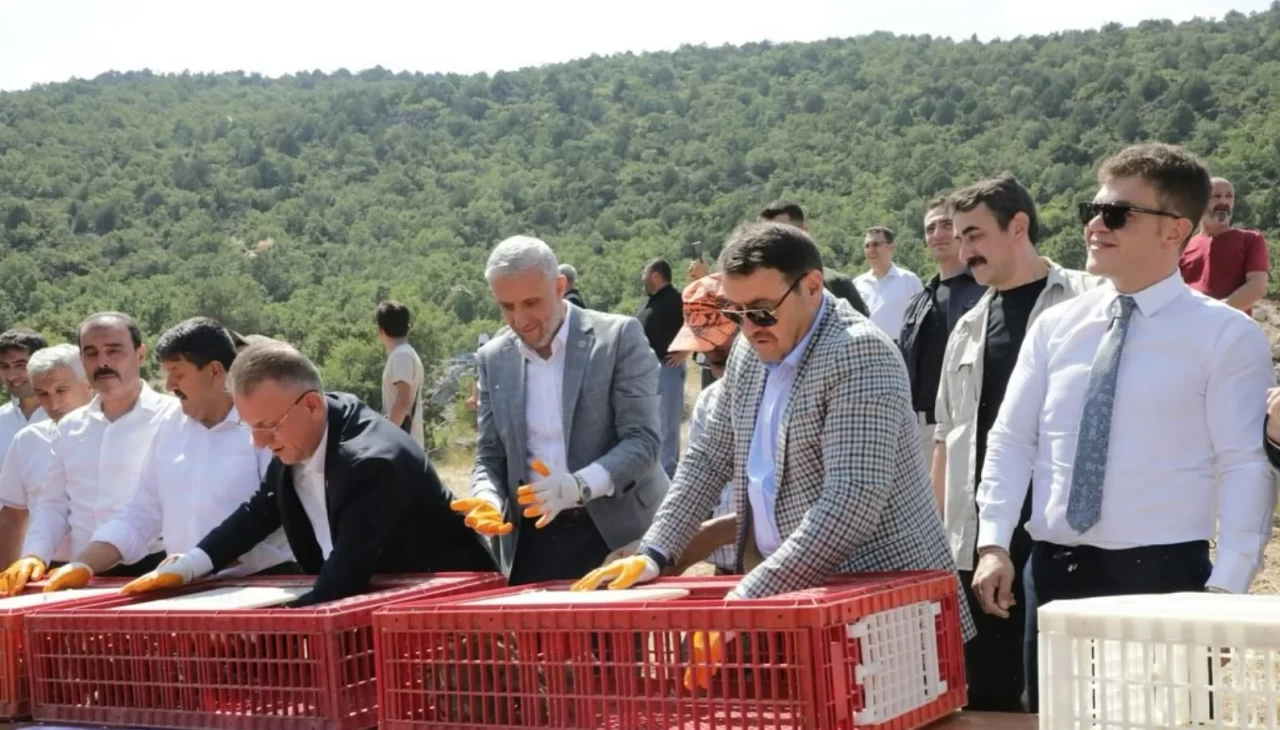Kütahya’da 300 keklik doğaya salındı
