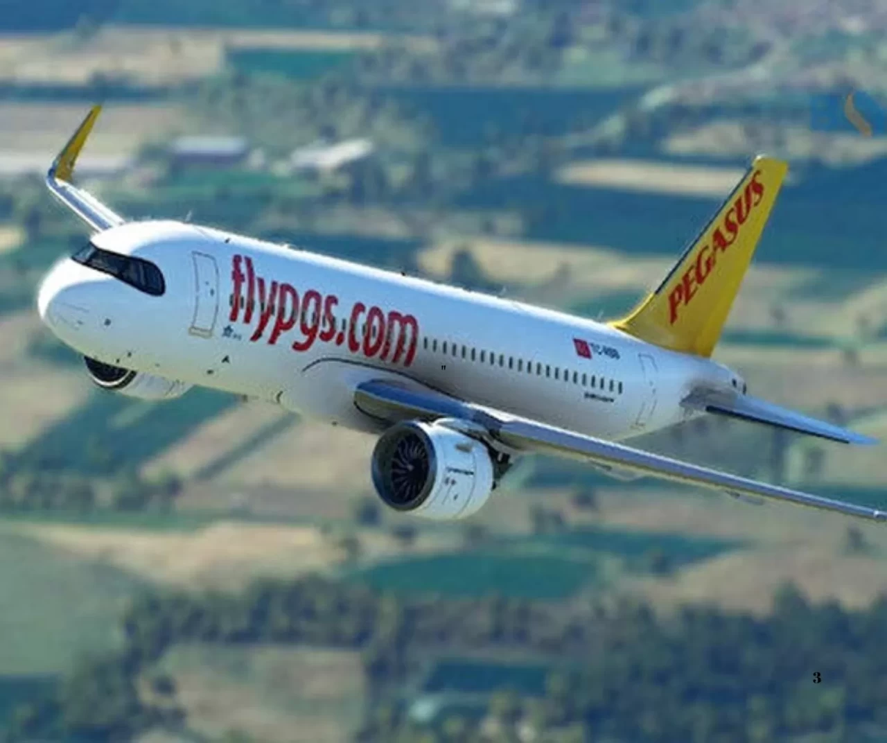 İstanbul'da leylek sürüsüne giren uçak, Sabiha Gökçen Havalimanı'na acil iniş yaptı