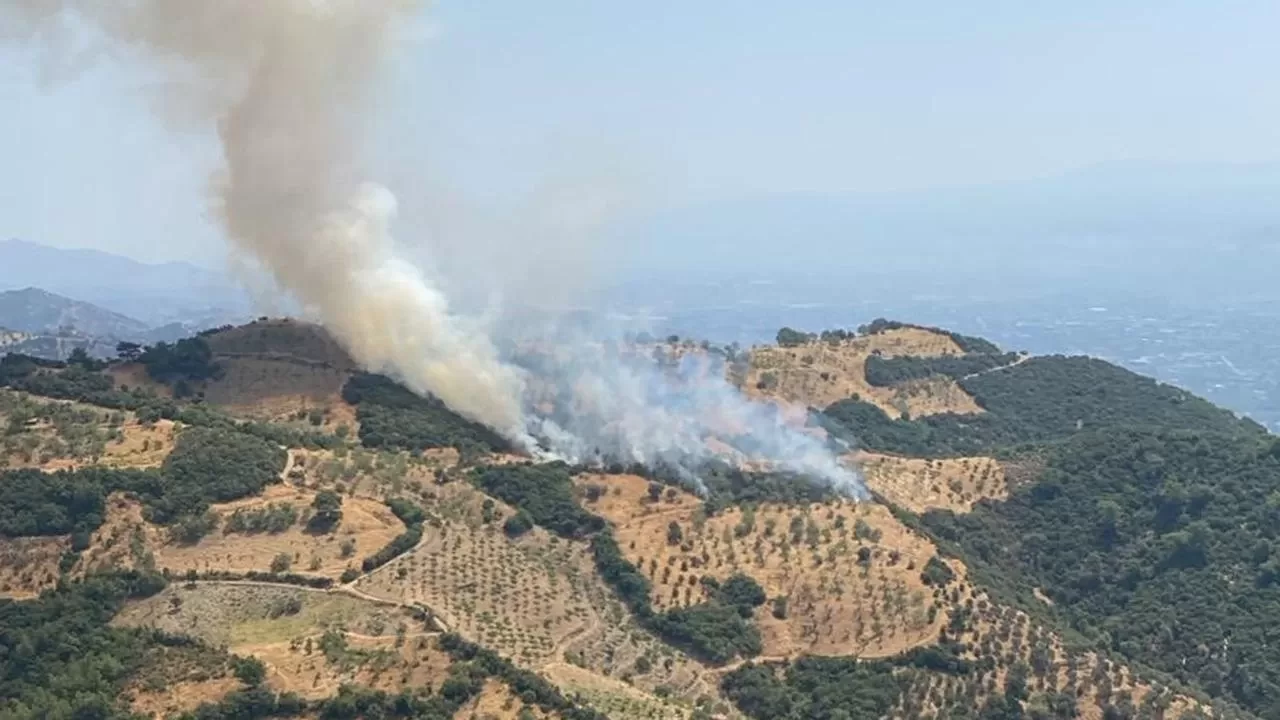 Kayınpederine kızan gelin tarım arazisini yaktı