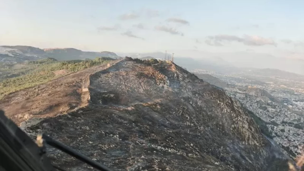 Hatay'da orman yangını! Kontrol altında...