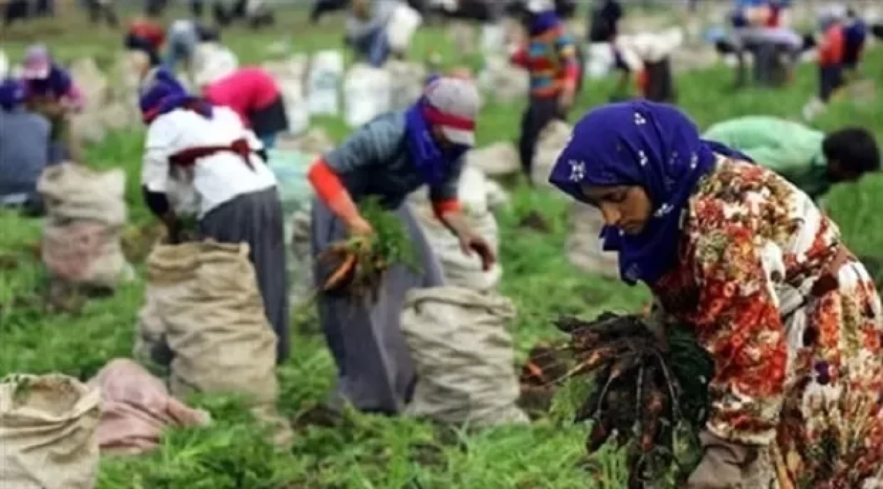 Mevsimlik tarım işçilerine çok yönlü destek: Barınmadan sağlığa, eğitimden sosyal güvenceye