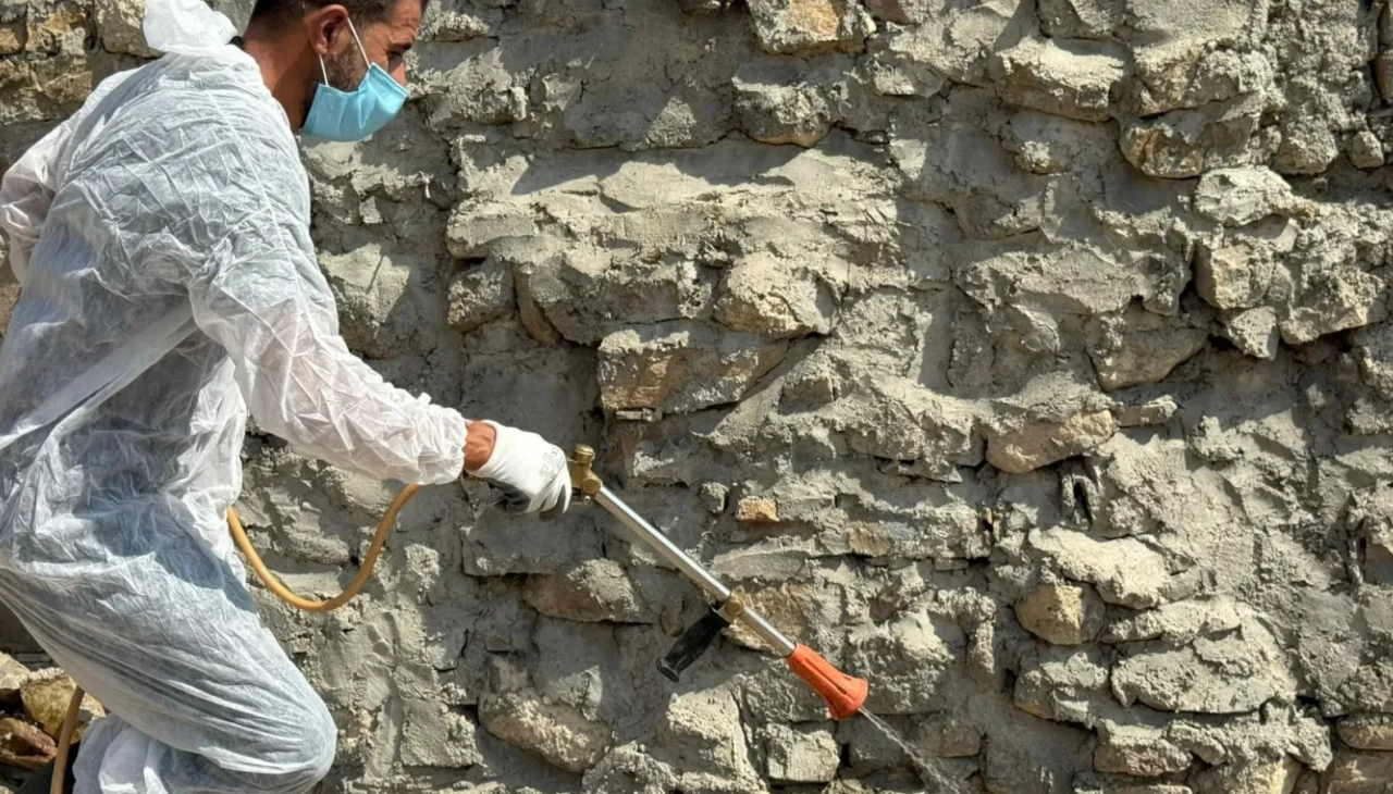 Akrepler köyü istila etti, yetkililer harekete geçti