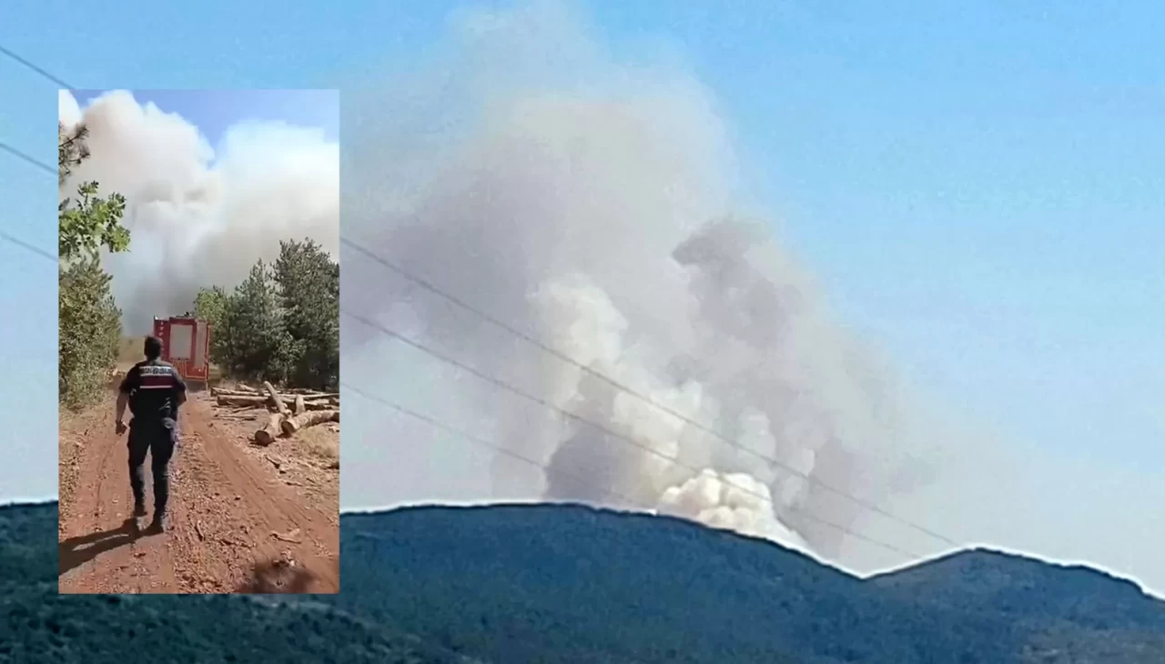 Karabük'te orman yangını çıktı