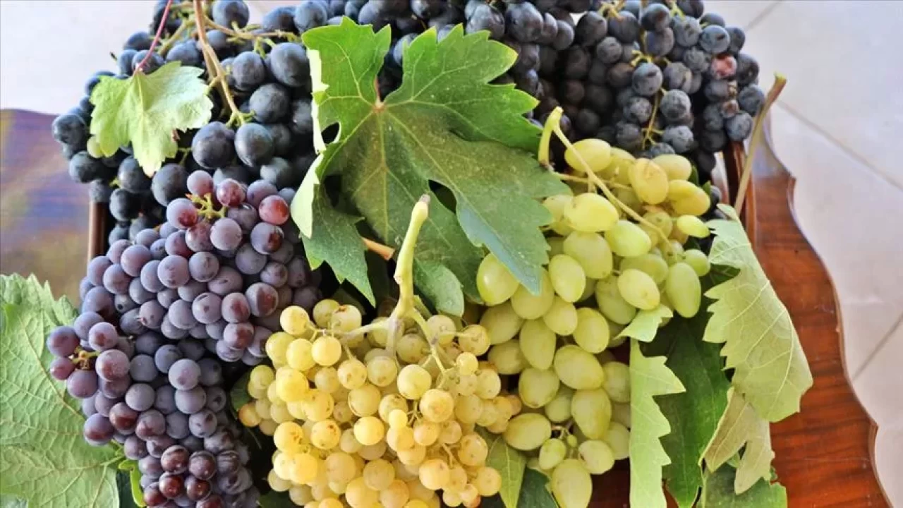 Üzüm kilo aldırır mı? Diyet için doğru porsiyon nasıl olmalı?