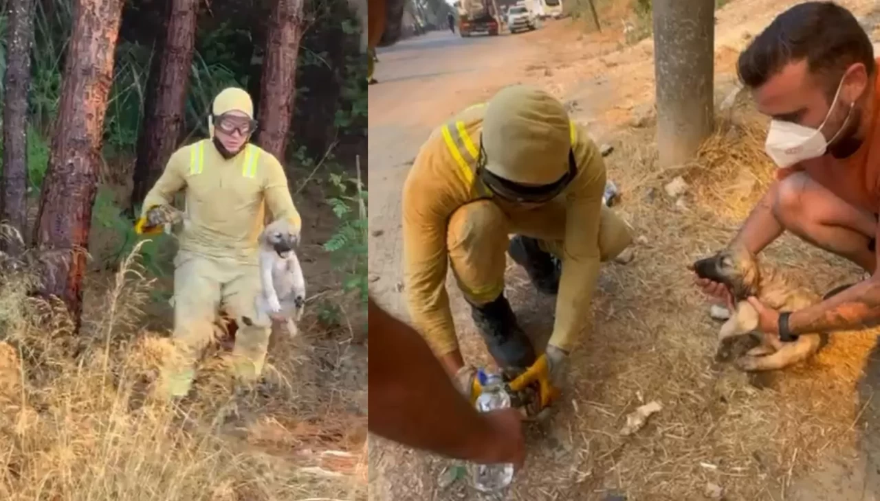 Kepez’de orman yangını! Alevler arasından gelen kurtuluş hikayesi