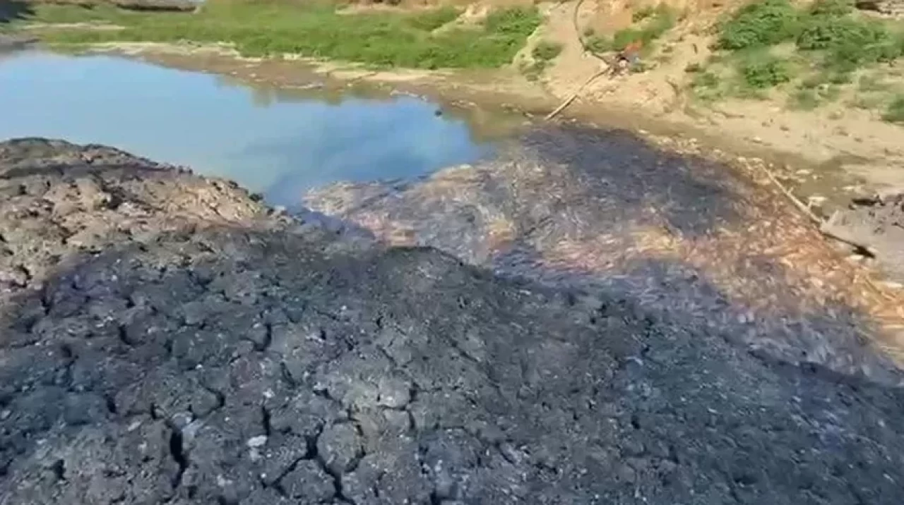 Kocabaş Çayı'nda kuraklık alarmı: Balık ölümleri başladı