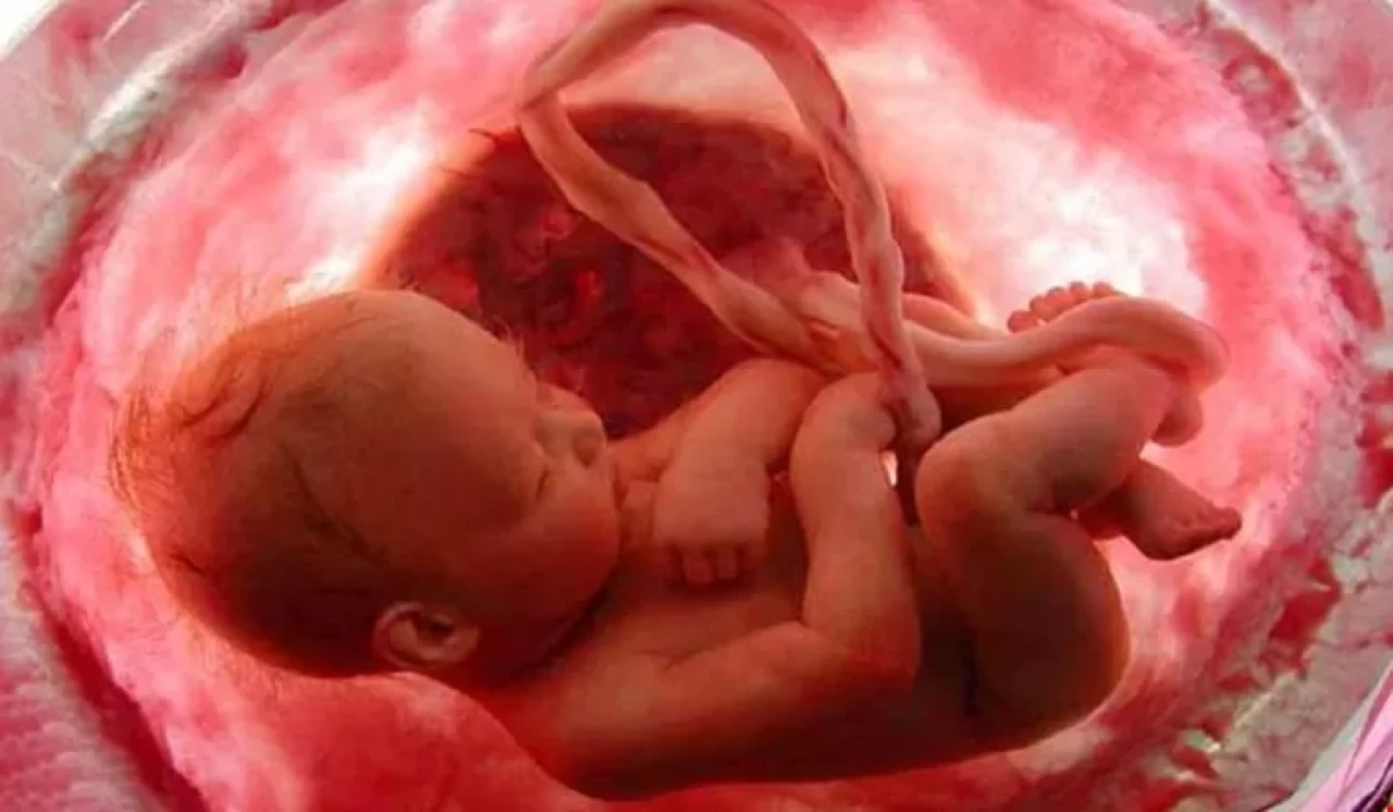 Hamilelikte bebeğinle bağ kurmanın 5 basit yolu