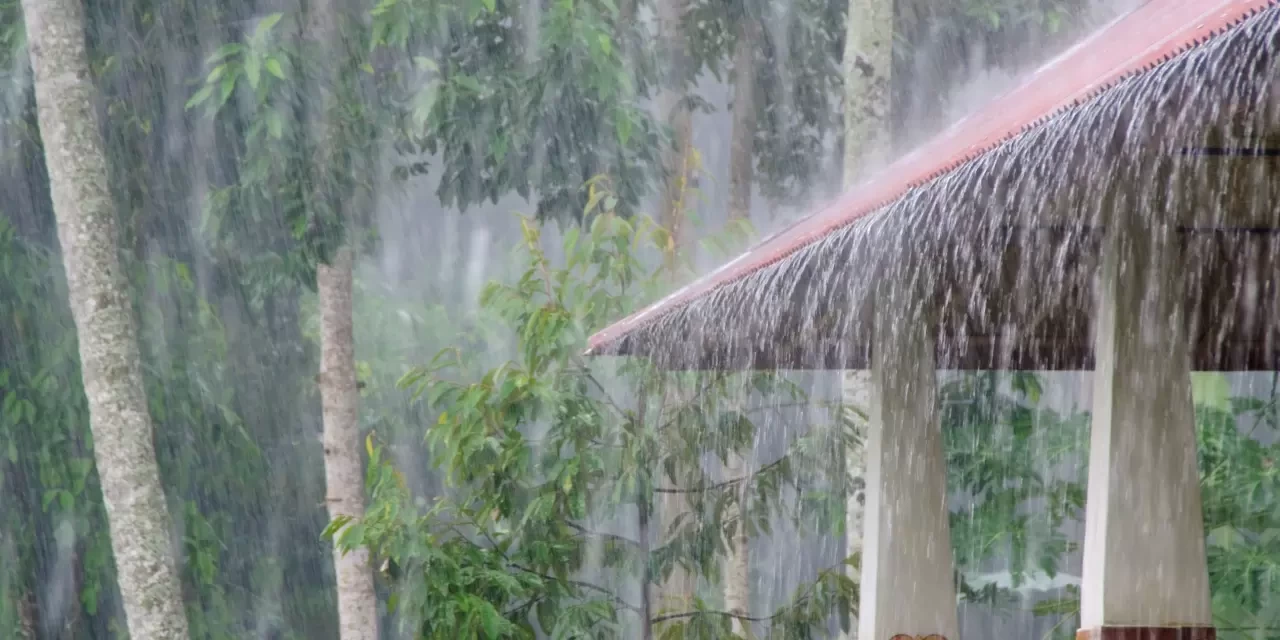 Rüyada Yağmur Yağdığını Görmek Ne Anlama Gelir? İşte Detaylı Tabiri