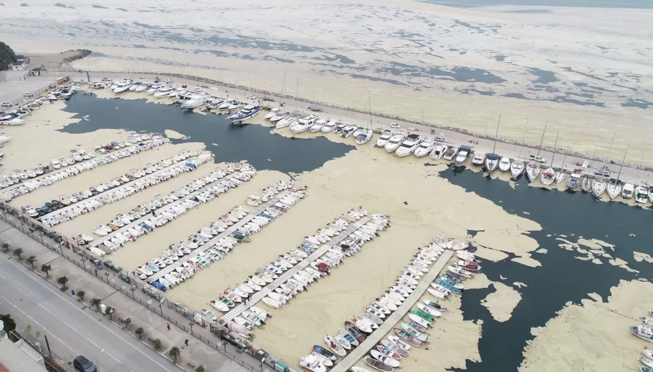 Devlet desteği bu kez balıkçılara! Marmara'da müsilaj için harekete geçildi