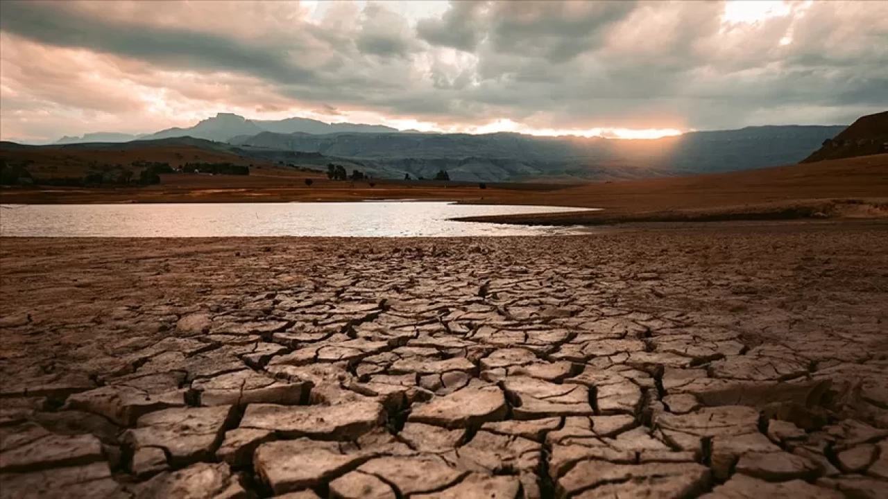 Tarım ve Orman Bakan Yardımcısı Gizligider'den kuraklık açıklaması