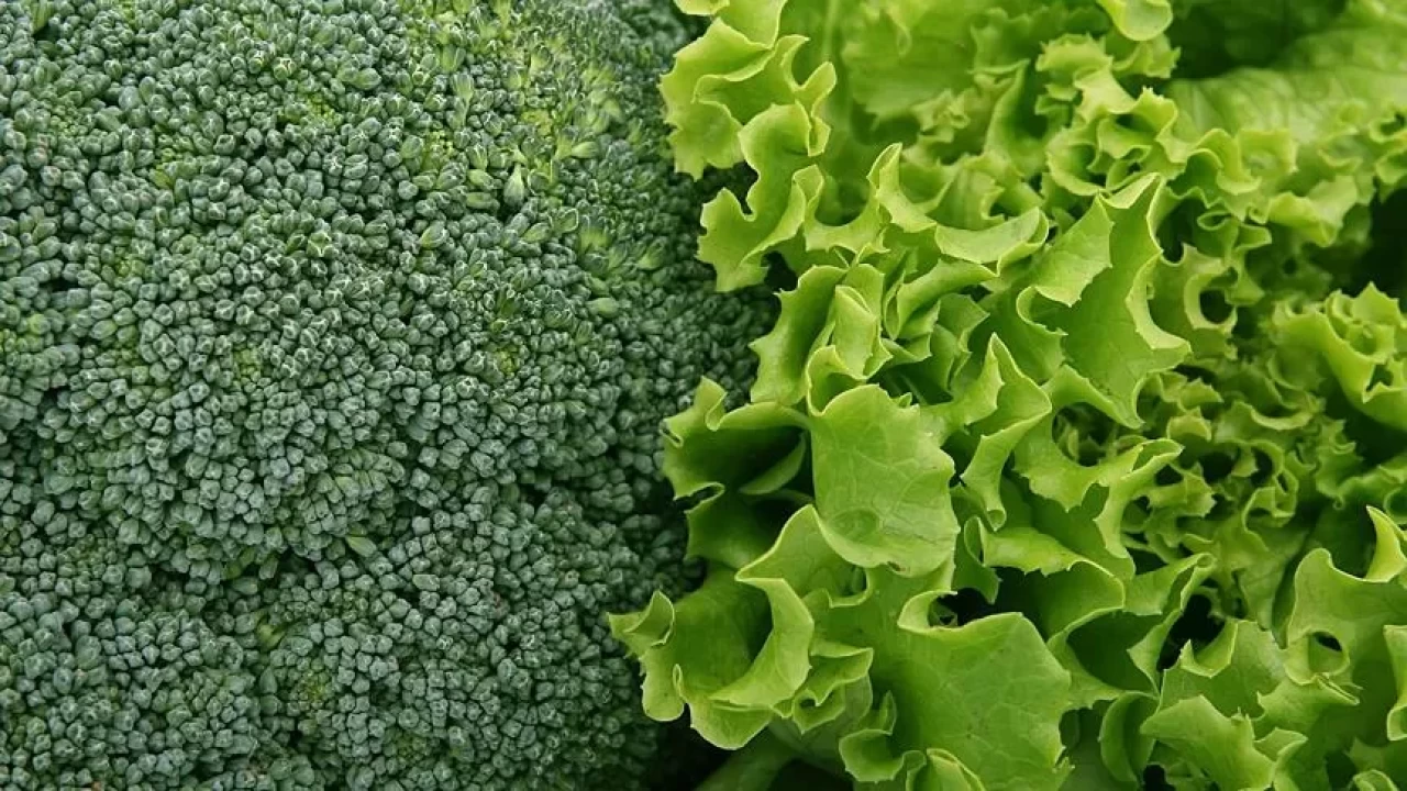 Genç kalmanın sırrı! Hücreleri yenileyen 7 yeşil yapraklı sebze