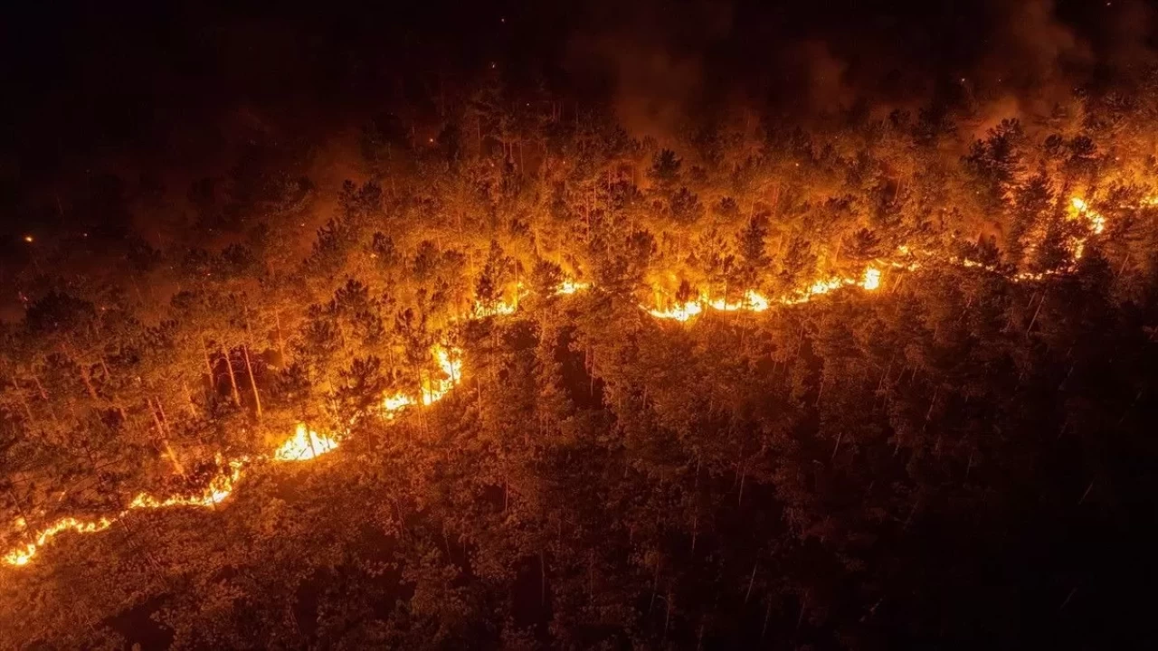 Ciğerlerimiz yandı! Türkiye'de bir ayda 12 bin 752 futbol sahası büyüklüğünde orman kül oldu
