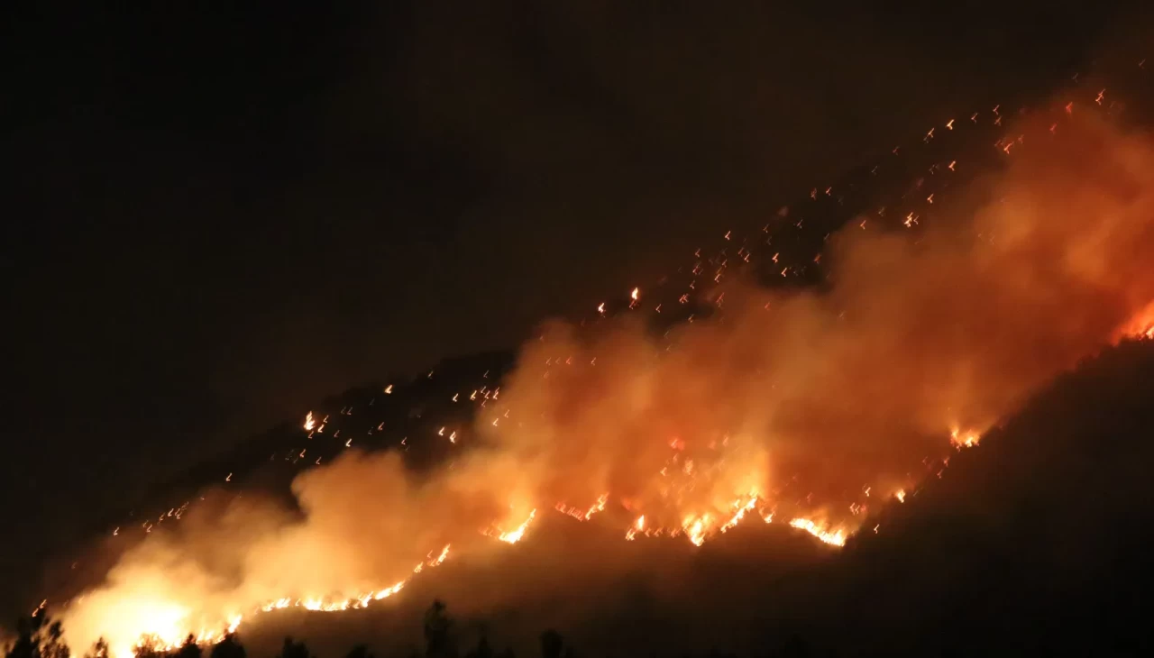 Denizli’de orman yangınına gece karadan müdahale sürüyor
