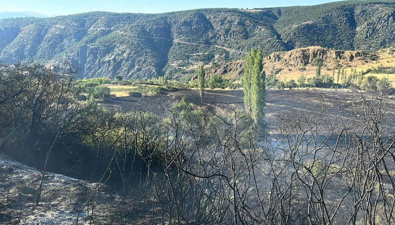 Kastamonu Tosya’da yangın! Tarım arazisi ve depolar küle döndü