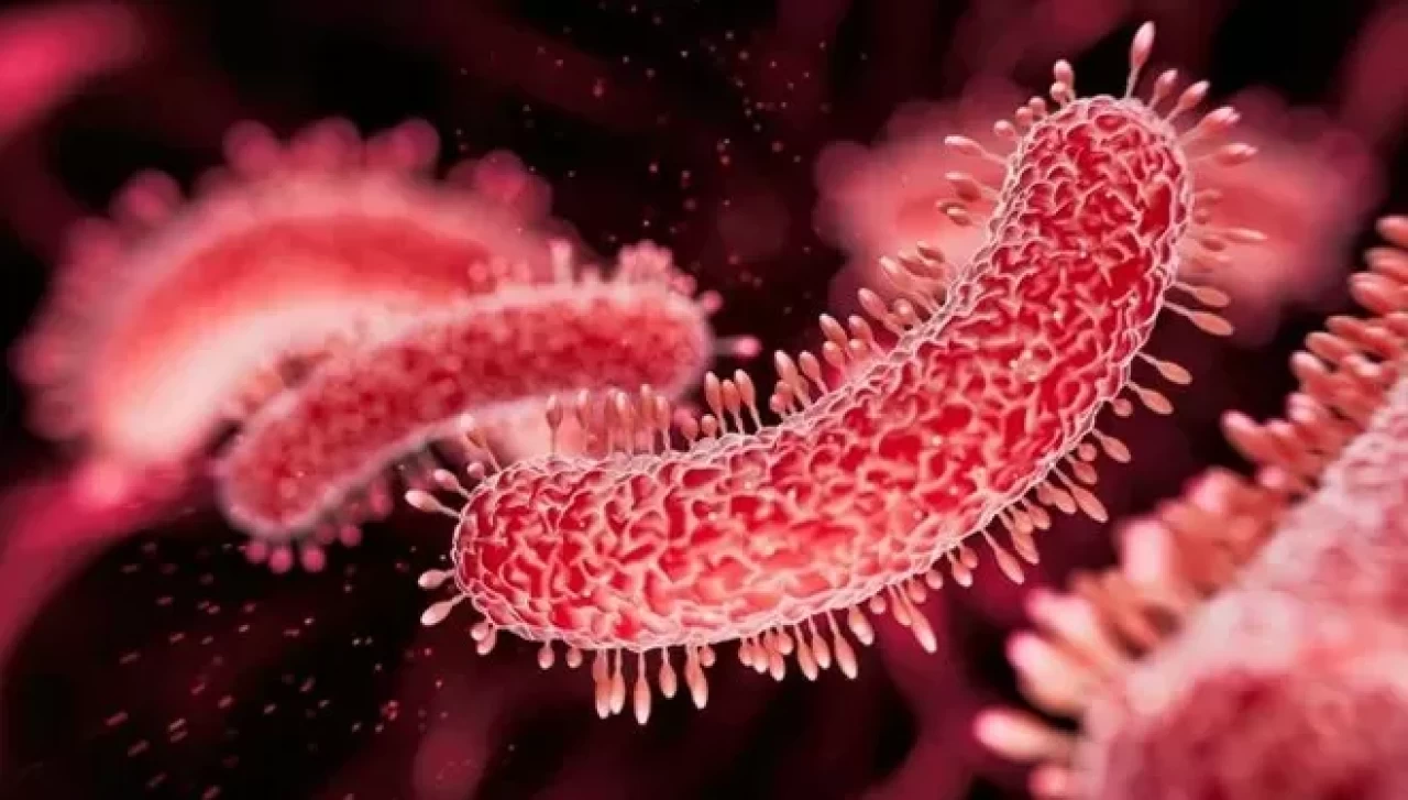 Türkiye'de et yiyen bakteri vakası görüldü mü? Bakanlıktan açıklama