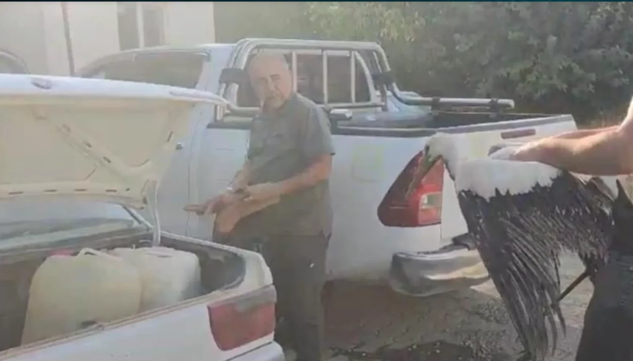 Leyleğin imdadına balıkçılar yetişti