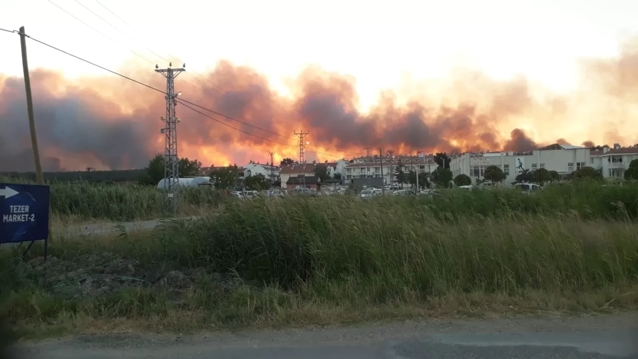 Edirne'de tarlada çıkan yangın ormanlık alana doğru ilerliyor