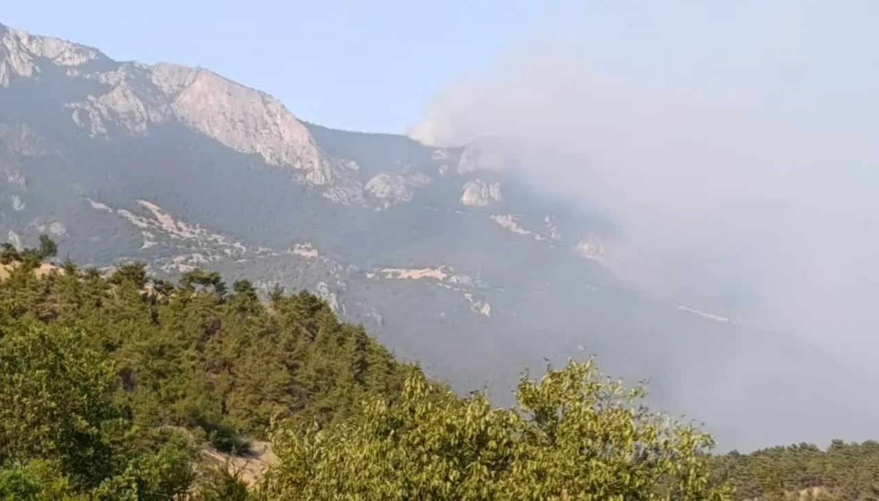 Sinop'ta çıkan orman yangınına müdahale ediliyor