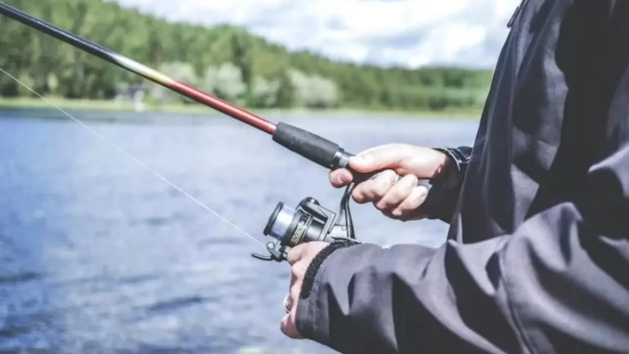 Rüyada Balık Tutmak Ne Anlama Gelir? İşte Detaylı Yorumlar