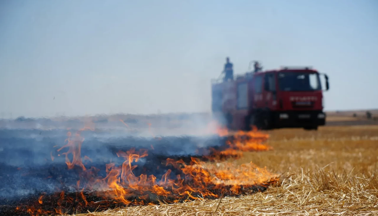 Edirne'de anız yangını
