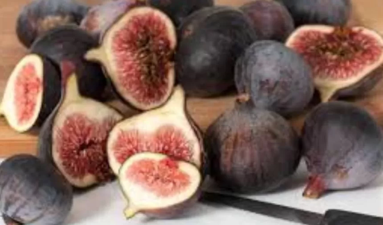 Eylül ayı hasadı başladı! Pazarlarda hangi ürünler var?