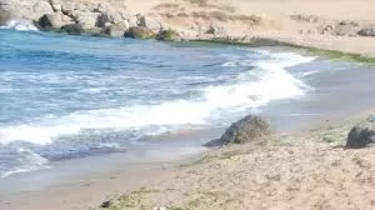 Beykoz Kaymakamlığı’ndan kritik uyarı! Denize girmek yasaklandı