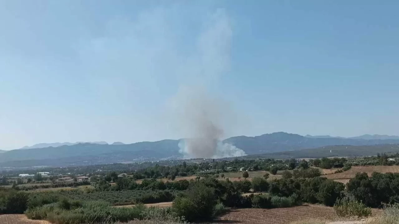 Osmaniye’nin Sumbas ilçesinde orman yangını başladı