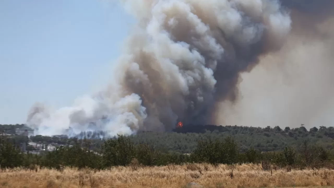 Çanakkale'de orman yangını! Vatandaşlara "Sokağa çıkmayın" uyarısı