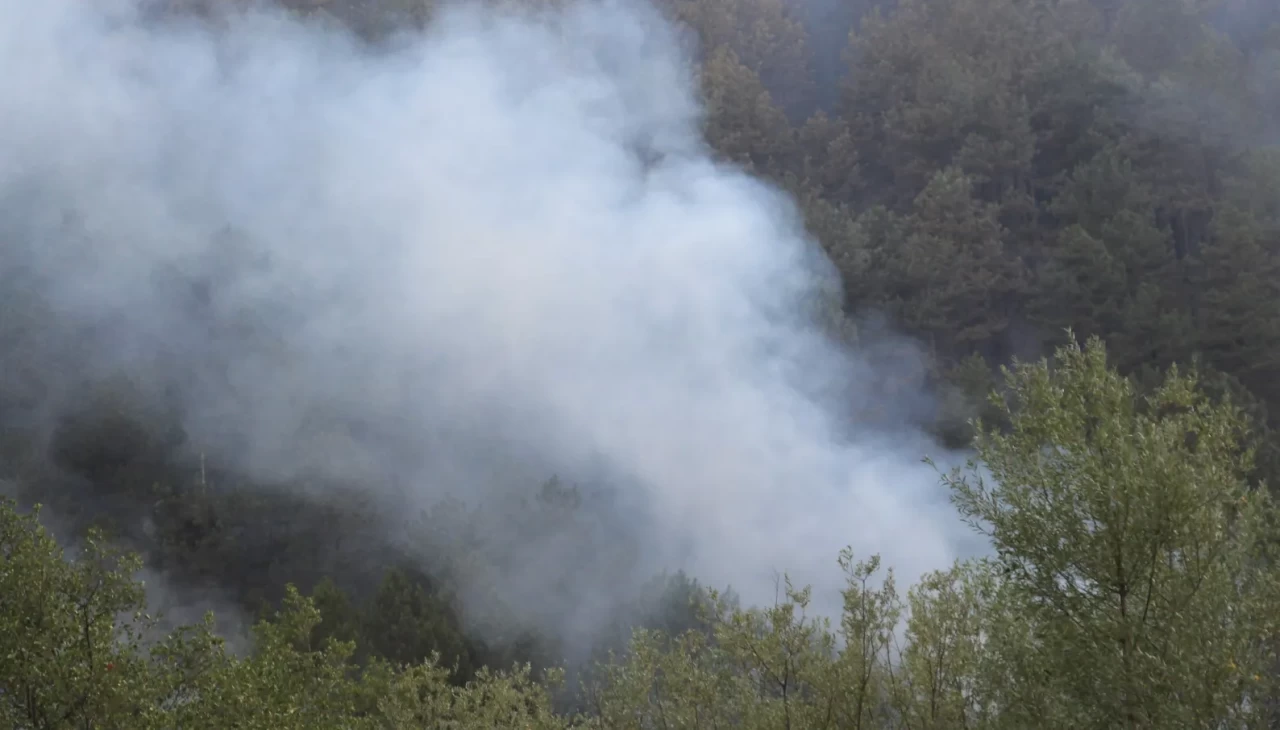Bolu'daki orman yangını 5'inci saatinde kısmi olarak kontrol altına alındı