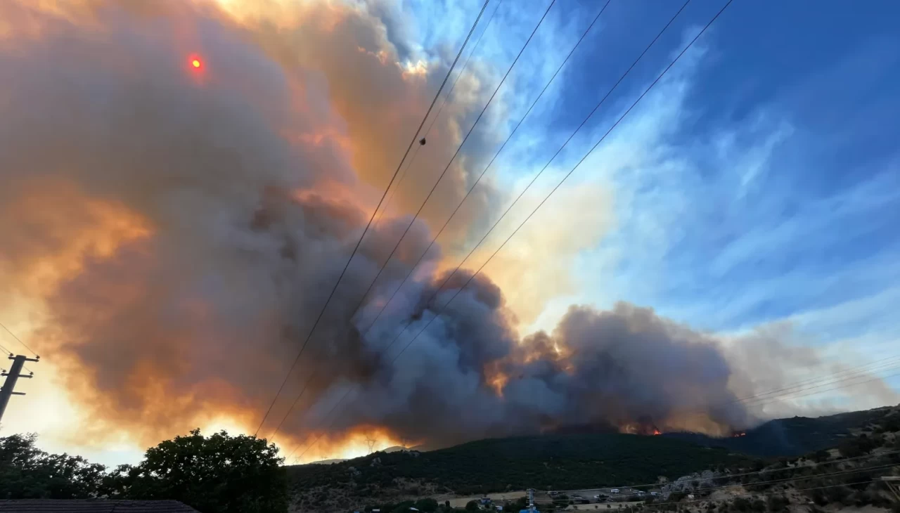 Bursa'daki orman yangını kontrol altına alındı