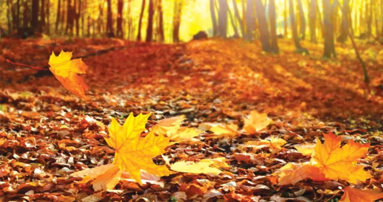 Eylül ayı modasıyla dolabınızı sonbahara hazırlayın