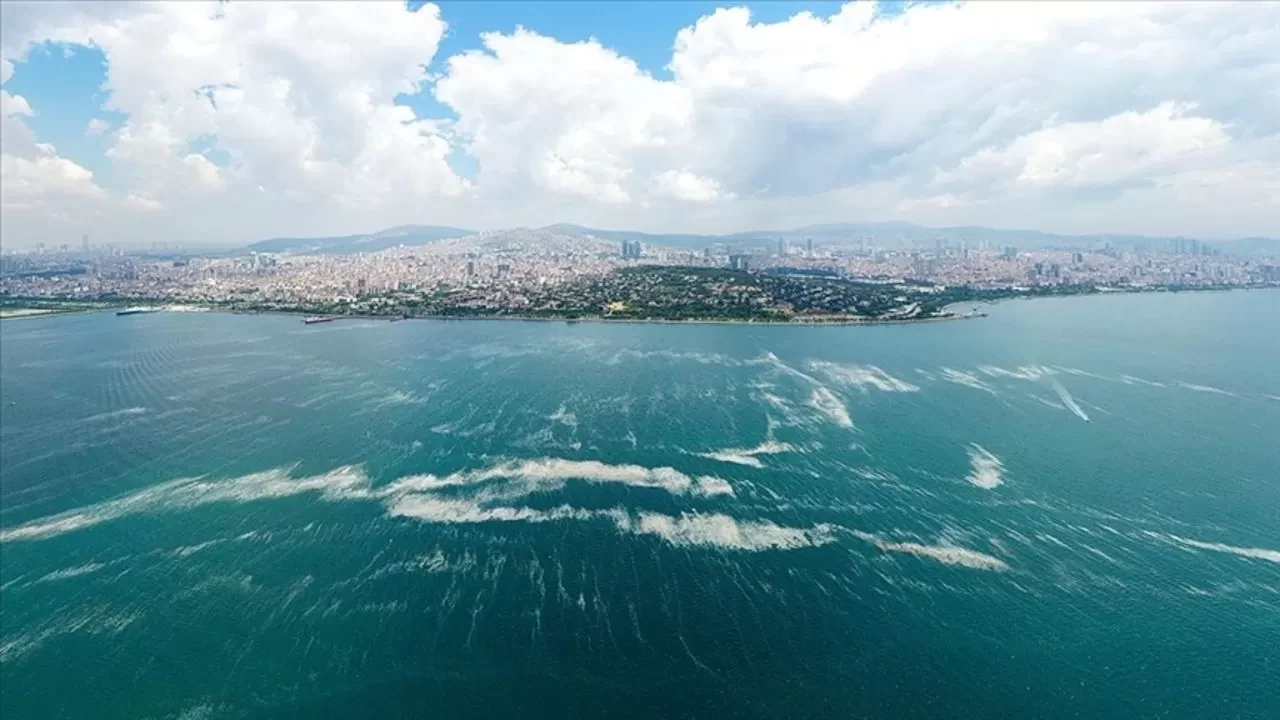 Marmara'da müsilaja sıkı takip: 55 tesis kapatıldı, 822,5 milyon TL ceza kesildi