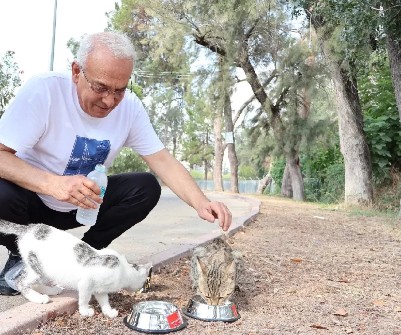 Başkan Yusuf Kanlı’dan “Bir kap su, bir kap mama” çağrısı!