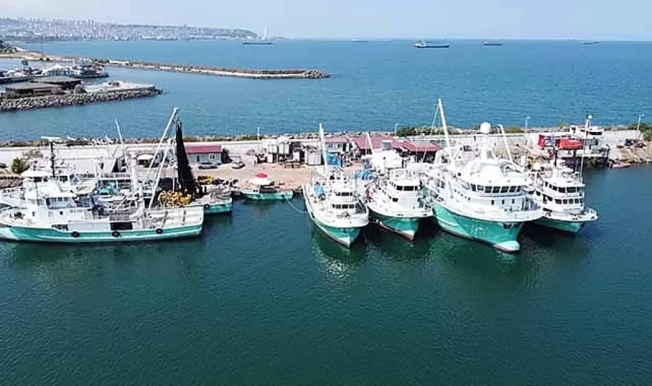 Karadeniz’de balıkçılar 1 Eylül sezonu için hazır: Hamsi bereketi bekleniyor